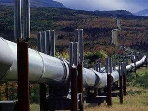 Bryza: Kerkük petrolü yine Türkiye’den ihraç edilecek!