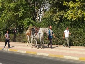 Polonya'dan Kudüs'e gitmek için 10 aydır at sırtında