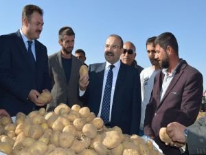 Ahlat'ta patates hasadı bereketiyle başladı