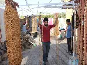 Antik çağdan bu yana devam eden gelenek: Bağ bozumu