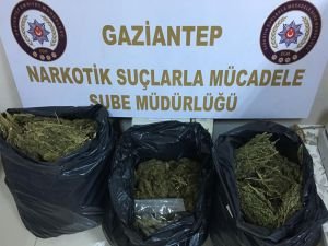 Yol kontrolünde 20 kilo esrar ele geçirildi!