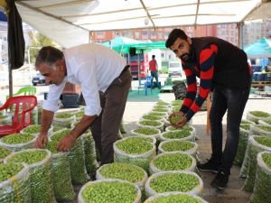 "Zeytinin fiyatı da kalitesi de iyi"