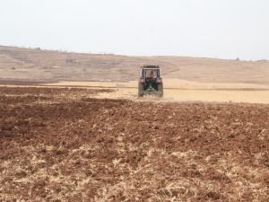 Ekinlerini toprağa atan çiftçiler yağmuru bekliyor