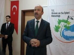 Tüfekçi: "Yıllık 800 bin meşe ağacı kesilmekten kurtuluyor"