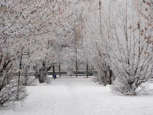 Yeni haftada hava sıcaklıklarında düşüş yaşanması bekleniyor