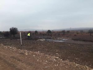 Delinen borudan çıkan petrol ekinlere zarar verdi