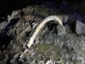 Tuzla'daki kokuyla ilgili soruşturma!