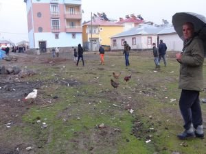 Bingöl’de mahalleli hizmet alamamaktan şikâyetçi