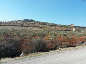 Reyhanlı'ya bugün 5 roket atıldı