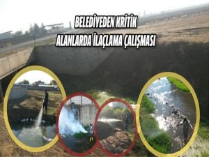 Belediyeden kritik alanlarda ilaçlama çalışması