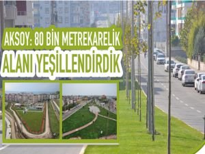 Aksoy: 80 bin metrekarelik alanı yeşillendirdik