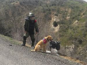 Yol kenarına tuzaklanmış patlayıcı bulundu