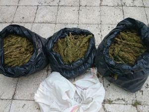 Diyarbakır’da 40 kilo esrar ele geçirildi