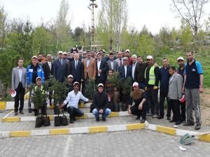 Muş'ta ‘Her Mezarlığa Bir Ağaç’ projesi