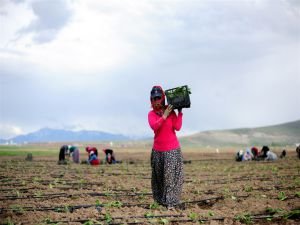 Tarım Ocak ayında bile 5 milyona yakın istihdam sağladı