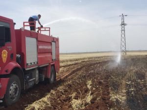 Yüksek gerilim hattından çıkan ateş buğday tarlasını kül etti