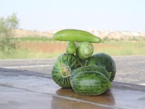 Midyat acuru tezgâhlara çıktı