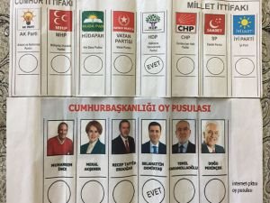 Ağrı'da HDP ve Fransız iş birliği mi?