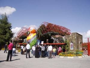 Gaziantep'te "Tropik Kelebek Merkezi" kuruluyor