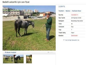 Bedelli askerlik için vasıta ve hayvanlarını satıyorlar