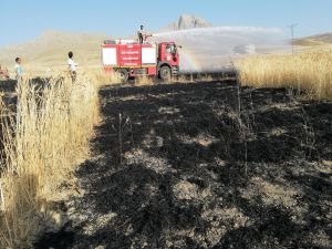 Buğday ekili tarla küle döndü