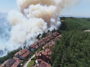 Bursa'da korkutan orman yangını