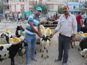 Kurban pazarları arefe günü hareketlendi