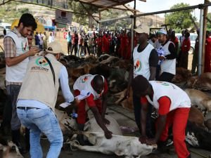 Hayırseverlerin bağışladığı kurbanlar Afrika’da kesildi