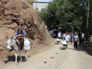 Eşeklerle evlerine su taşıyorlar