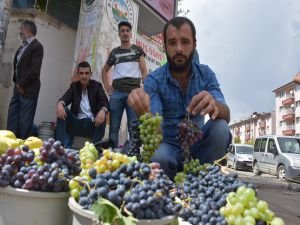 Muş üzümüne rağbet artıyor