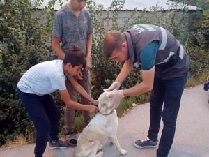 Çocuklar sakat köpeğe sahip çıktı