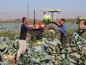 Tarım ürünleri üretici fiyat endeksi arttı