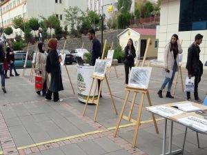 "Mazlum Coğrafyalar" temalı fotoğraf sergisi