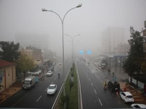 Şanlıurfa’da yoğun sis etkili oluyor