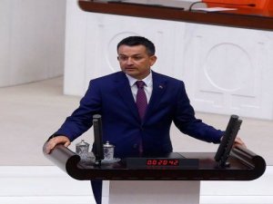 Bakanlıktan "Paramız var ki ithal ediyoruz" sözlerine ilişkin açıklama