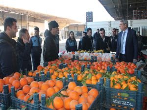 Sebzede fiyatlar yarıya düştü!