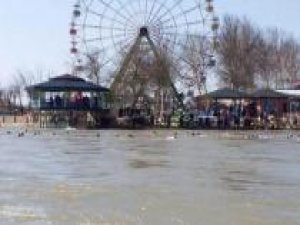 Feribot faciasının sorumluları Erbil'de yakalandı