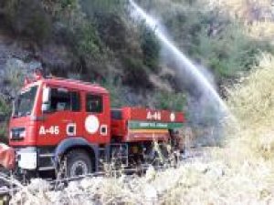 Hatay'da orman yangını