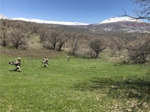 Hakurk bölgesinde 2 PKK'lı öldürüldü