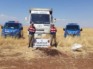 BOTAŞ hattından petrol çalmak isteyen 2 kişi yakalandı