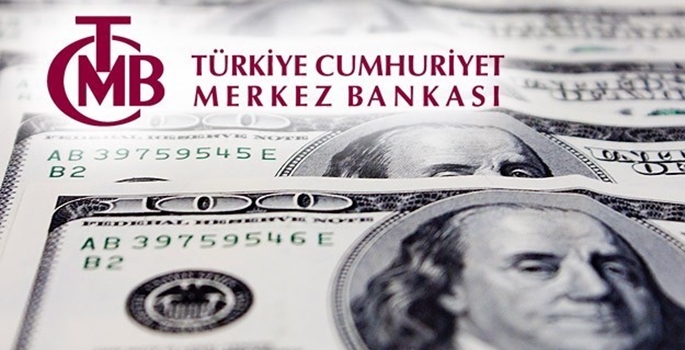 Merkez bankası anket sonuçları