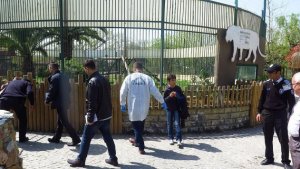 Kaplan saldırısına uğradılar