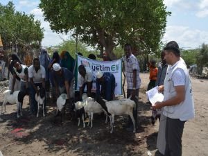 ​Hayırseverlerin bağışladığı kurbanlar Afrika'da kesildi