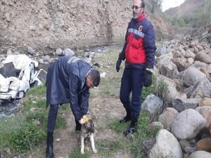 Bingöl’de meydana gelen trafik kazasında 2 kişi hayatını kaybetti, 4 kişi de yaralandı