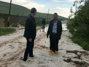 Dolu yağışı ekinlere zarar verdi