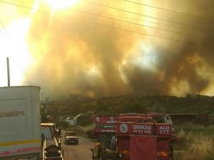 Muğla'da ormanlık alanda yangın çıktı