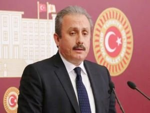 TBMM Başkanı Şentop: Yanan her ağaç, kaybettiğimiz her can için çok üzgünüz