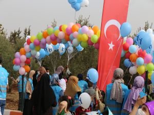 Yetim Çocuklardan Zeytin Toplama Şenliği