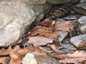 Tunceli'de PKK'ya ait 4 sığınak imha edildi