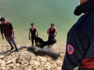 Hasankeyf baraj suyunda bir erkek cesedi bulundu